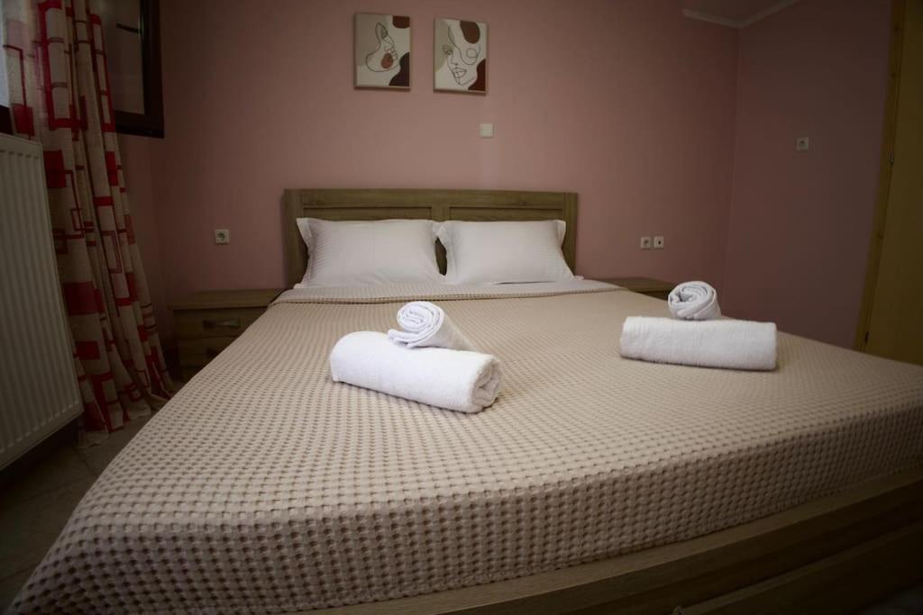 Mountain Harmony Home Konitsa Dış mekan fotoğraf