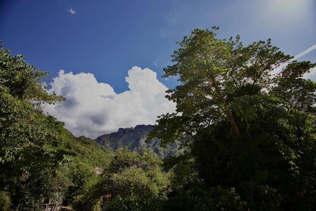 Mountain Harmony Home Konitsa Dış mekan fotoğraf